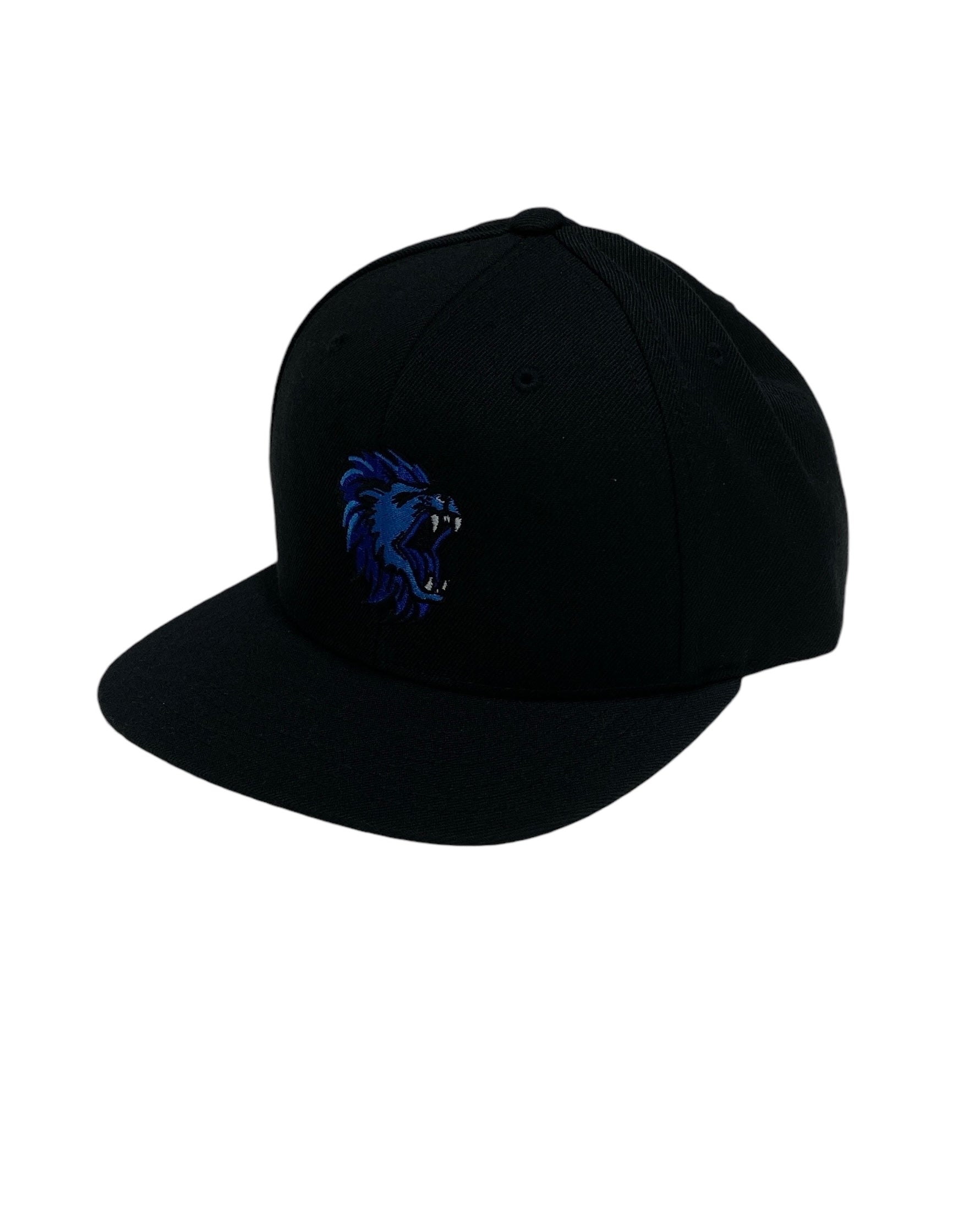 Casquette À Plat Des Dolphins De Miami Floride Pour Hommes Casquette À Plat Des Dolphins De Miami Floride Pour Hommes