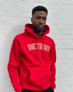Ink Detroit - Classic Detroit Hockey Colorway Hoodie - Available in 4 Colors - Ink Detroit
