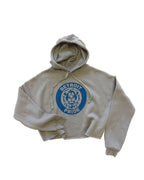 Ink Detroit Pride Fleece Crop Hoodie - Storm Grey - Ink Detroit